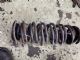 Citroen Dispatch G9 2013-2016 LR Coil Spring