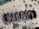 Citroen Dispatch G9 2013-2016 RR Coil Spring