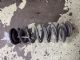 Audi A3 8V 2013-2016 LR Coil Spring