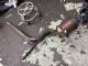 Audi A3 8V 2013-2016 Catalytic Converter