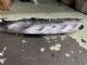 Citroen C4 Grand Picasso 2013-2018 L Turning Light