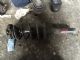 Audi A3 8P 2008-2012 RF Shock Absorber