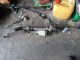Audi A3 8P 2008-2012 Front Electric Steering Rack