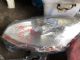 Citroen C4 C4 Picasso 2009-2012 L Headlight