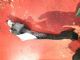 Citroen C4 C4 Picasso 2009-2012 Accelerator Pedal