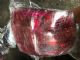 Citroen C5 C5 L Tail Light