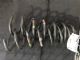 Citroen C4 C4 Picasso 2006-2009 LR Coil Spring
