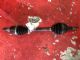 Ford Focus LW 2011-on LF Driveshaft