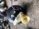 Peugeot 207 207 2006-2011 Brake Master Cylinder