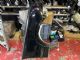 Mercedes-Benz E Class W210 1995-2003 RF Guard/Fender
