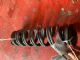 Audi A3 8P 2008-2012 LR Coil Spring