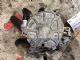 Volkswagen Caddy Type 2K 2003-2009 Engine Vacuum Pump