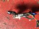 Peugeot 207 207 2006-2011 Exhaust Oxy Sensor
