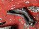 Citroen C4 Grand Picasso 2009-2012 RF Door Elec Mirror