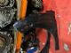 Peugeot 207 207 2006-2011 LF Guard/Fender