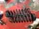 BMW 1 Series 116i F20 RR Coil Spring