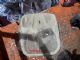 Citroen C4 Grand Picasso 2013-2018 Sun Roof Switch