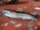 Citroen C4 Grand Picasso 2013-2018 R Turning Light