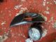 Citroen C4 Grand Picasso 2013-2018 LF Fog Light