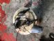 Peugeot 3008 I 2008-2015 Electric Fuel Pump